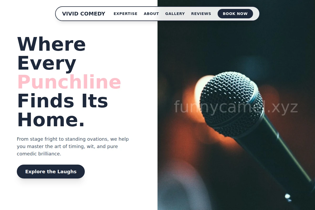 Vivid Comedy